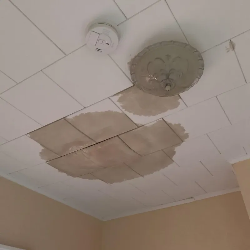 Ceiling Water Damage Repair in Delmont, PA
