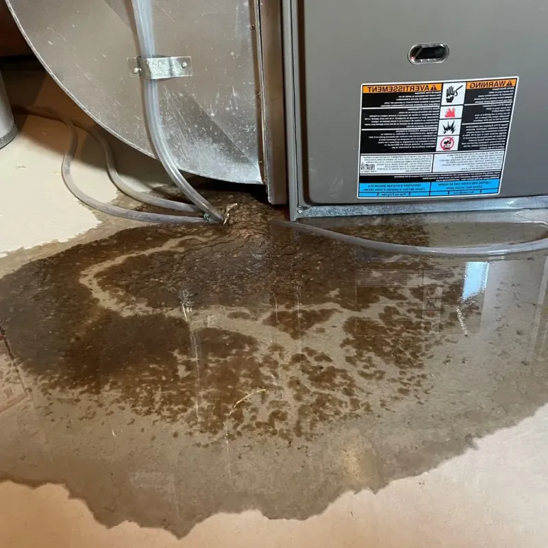 Pipe Burst and Leak Restoration in Delmont, PA