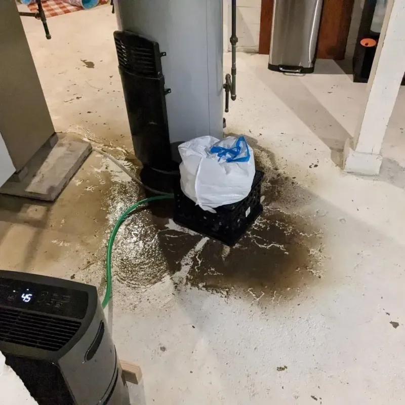 Sewage Backup Cleanup Service in Delmont, PA